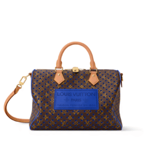 Louis Vuitton Speedy Soft 30 Neon Wave 30cm/11.8in M29143